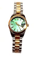 Watch Philip Watch Woman Caribe urban mini in Steel R8253597687